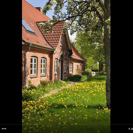 Landhaus Hohenfelde Hohenfelde  外观 照片
