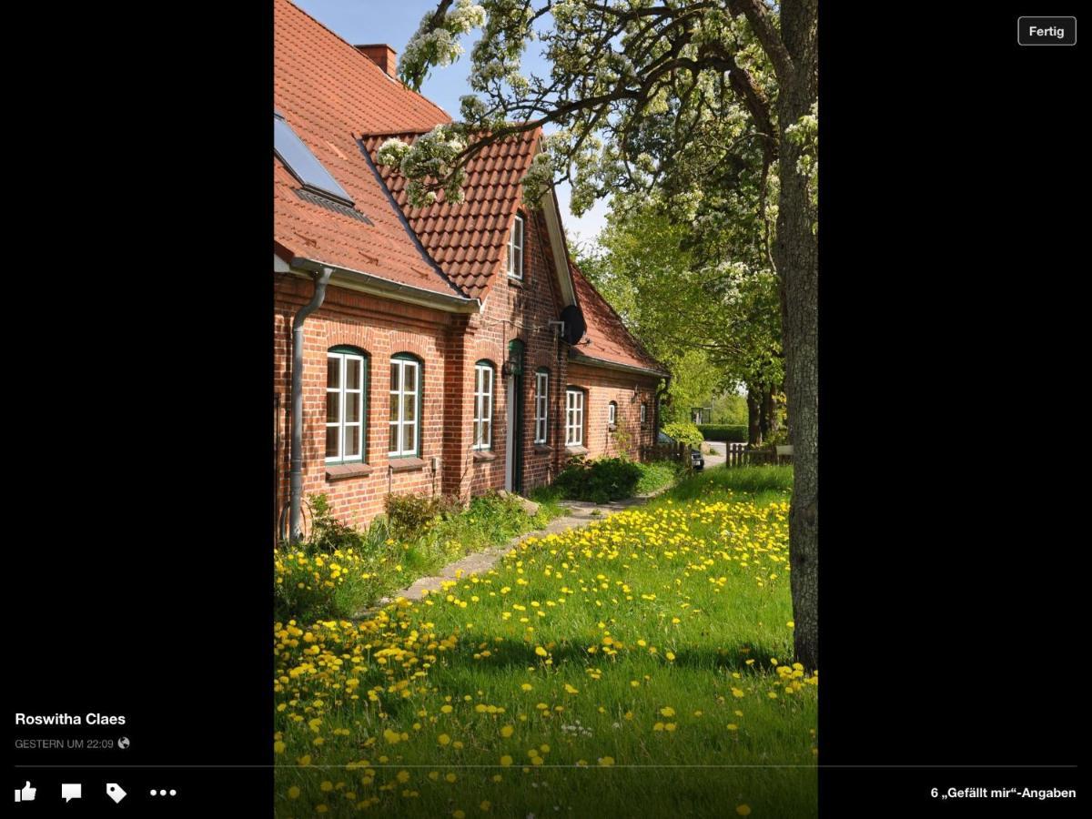 Landhaus Hohenfelde Hohenfelde  外观 照片